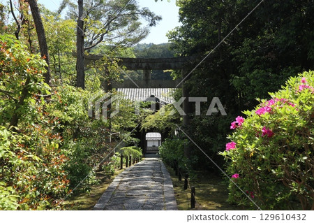 京都歷史悠久的南禪寺的初夏風景 129610432