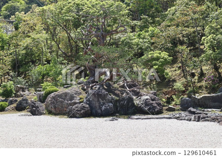 京都歷史悠久的南禪寺的初夏風景 129610461