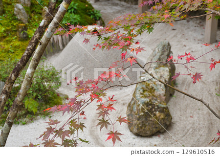 大原寶泉院：寶藏花園與美麗的紅葉（京都府京都市左京區） 129610516