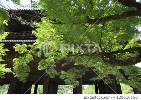 京都歷史悠久的南禪寺的初夏風景 京都歷史悠久的南禪寺的初夏風景 129610550