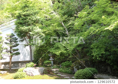 Early summer scenery at the historic Nanzenji Temple in Kyoto 129610572