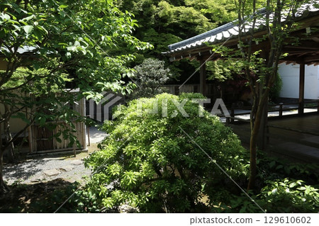 京都歷史悠久的南禪寺的初夏風景 京都歷史悠久的南禪寺的初夏風景 129610602