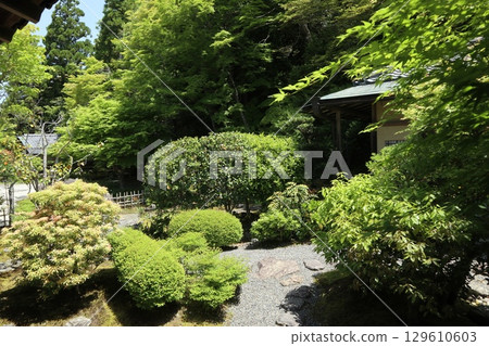 京都歷史悠久的南禪寺的初夏風景 京都歷史悠久的南禪寺的初夏風景 129610603