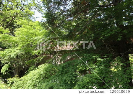 京都歷史悠久的南禪寺的初夏風景 129610639