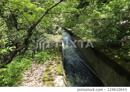 Early summer scenery at the historic Nanzenji Temple in Kyoto 129610643