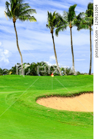Hawaii (Oahu) Holidays (Golf Life) Kapolei Hawaii (Oahu) Holidays (Golf Life) Kapolei 129611004