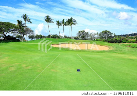 夏威夷（歐胡島）假期（高爾夫生活）卡波萊 129611011