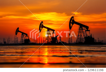 Panorama of an oil field with multiple pump jacks 129611198
