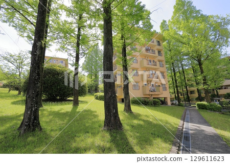 UR Senri Aoyamadai Housing Complex Early Summer UR Senri Aoyamadai Housing Complex Early Summer 129611623