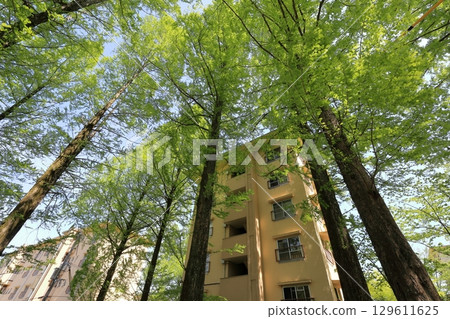 UR Senri Aoyamadai Housing Complex Early Summer 129611625