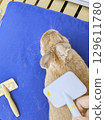 A rabbit being brushed 129611780