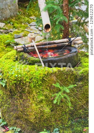 大原寶泉院美麗的水池(京都府京都市左京區) 大原寶泉院美麗的水池(京都府京都市左京區) 129612270