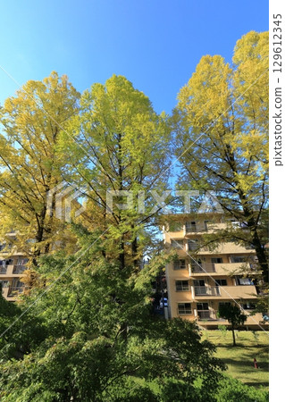 Autumn at UR Senri Aoyamadai Housing Complex 129612345