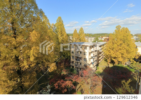 UR千里青山台住宅區的秋天 129612346