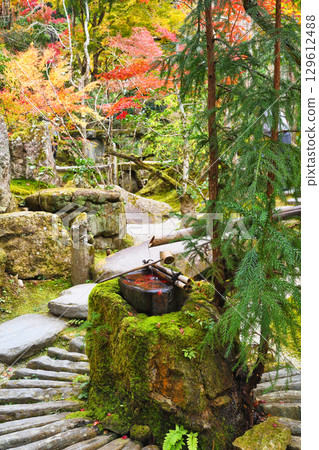 Beautiful autumn leaves and water basin at Hosen-in Temple in Ohara (Sakyo Ward, Kyoto City, Kyoto Prefecture) 129612488