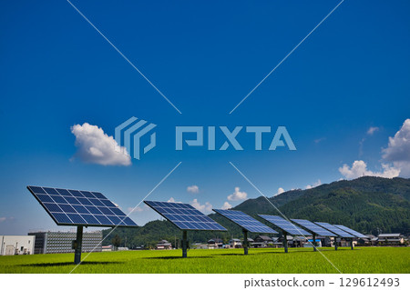 Solar panels bathed in sunlight 129612493