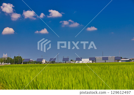 沐浴陽光的太陽能板 129612497