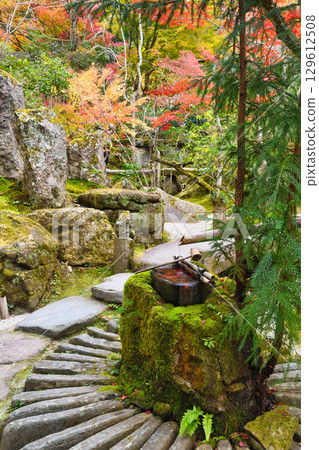 Beautiful autumn leaves and water basin at Hosen-in Temple in Ohara (Sakyo Ward, Kyoto City, Kyoto Prefecture) Beautiful autumn leaves and water basin at Hosen-in Temple in Ohara (Sakyo Ward, Kyoto City, Kyoto Prefecture) 129612508