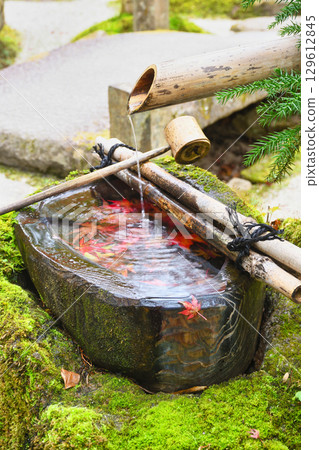 Beautiful autumn leaves at the water basin in Hourakuen, Hosen-in Temple, Ohara (Sakyo Ward, Kyoto City, Kyoto Prefecture) Beautiful autumn leaves at the water basin in Hourakuen, Hosen-in Temple, Ohara (Sakyo Ward, Kyoto City, Kyoto Prefecture) 129612845