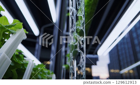 Water flows down a transparent pipe, irrigating rows of leafy greens in a vertical hydroponic farm, with urban skyscrapers visible in the background 129612913