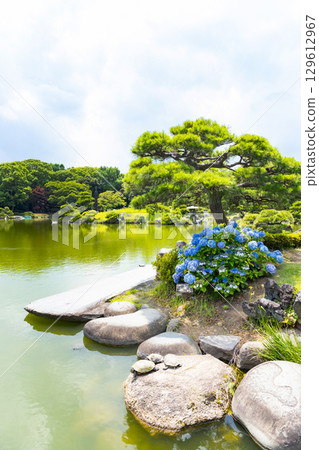 Kiyosumi Garden in early summer: Rock crossing and stone bridge 129612967