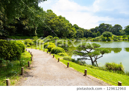 Kiyosumi garden in early summer 129612968