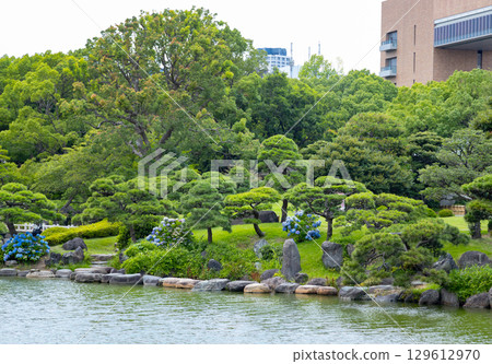 Kiyosumi花園在初夏 129612970