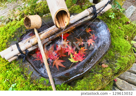 大原寶泉院寶樂園水池的紅葉十分美麗（京都府京都市左京區） 129613032