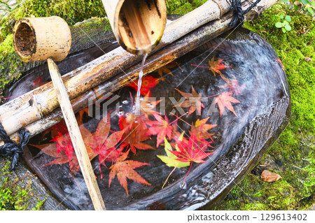 大原寶泉院寶樂園水池的紅葉十分美麗(京都府京都市左京區) 大原寶泉院寶樂園水池的紅葉十分美麗(京都府京都市左京區) 129613402