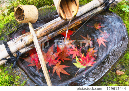 Beautiful autumn leaves at the water basin in Hourakuen, Hosen-in Temple, Ohara (Sakyo Ward, Kyoto City, Kyoto Prefecture) Beautiful autumn leaves at the water basin in Hourakuen, Hosen-in Temple, Ohara (Sakyo Ward, Kyoto City, Kyoto Prefecture) 129613444