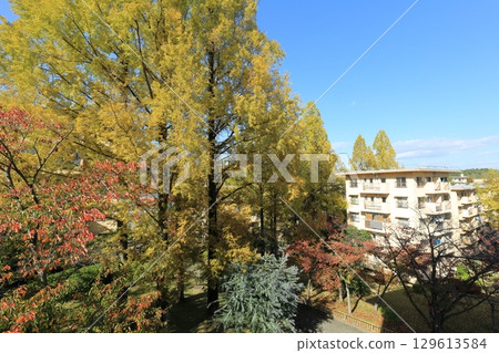 UR千里青山台住宅區的秋天 129613584