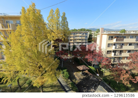 Autumn at UR Senri Aoyamadai Housing Complex 129613586