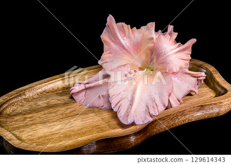 A soft, dusky pink gladiolus on a unique wooden tray 129614343