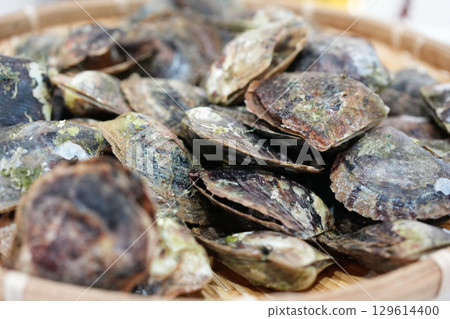 Pearl oysters in a colander 129614400