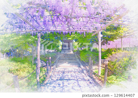 Watercolor painting of the wisteria trellis at Mandaraji Park in Konan City, Aichi Prefecture 129614407