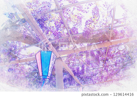 Watercolor painting of the wisteria trellis at Mandaraji Park in Konan City, Aichi Prefecture Watercolor painting of the wisteria trellis at Mandaraji Park in Konan City, Aichi Prefecture 129614416