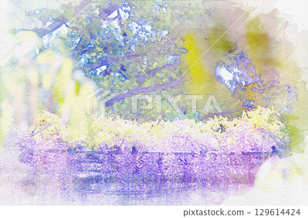 Watercolor painting of the wisteria trellis at Mandaraji Park in Konan City, Aichi Prefecture 129614424