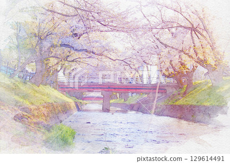 【愛知縣】丹羽郡大口町五條川沿岸的櫻花樹水彩畫 129614491