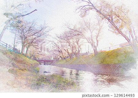 [Aichi Prefecture] A watercolor painting of the cherry blossom trees along the Gojo River in Oguchicho, Niwa County 129614493