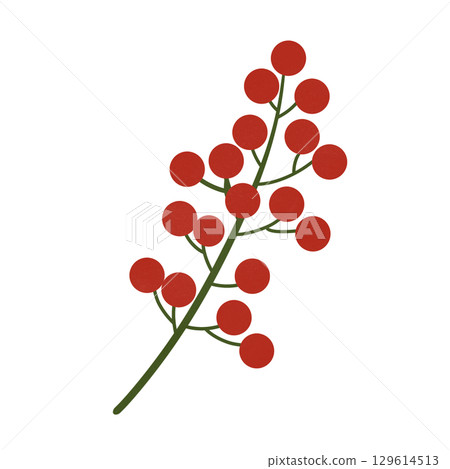 Red berries on the branch 129614513