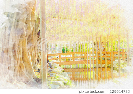 [Aichi Prefecture] Watercolor of the wisteria trellis at Tennogawa Park in Tsushima City 129614723