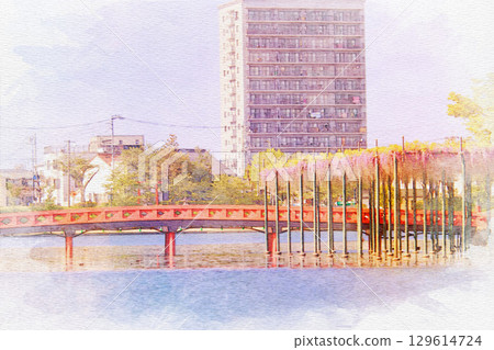 [Aichi Prefecture] Watercolor of the wisteria trellis at Tennogawa Park in Tsushima City 129614724