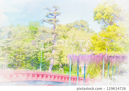 [Aichi Prefecture] Watercolor of the wisteria trellis at Tennogawa Park in Tsushima City 129614726