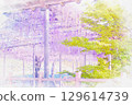 [Aichi Prefecture] Watercolor of the wisteria trellis at Tennogawa Park in Tsushima City 129614739
