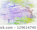 [Aichi Prefecture] Watercolor of the wisteria trellis at Tennogawa Park in Tsushima City 129614740