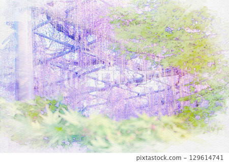【愛知縣】對馬市天王川公園紫藤架水彩畫 129614741