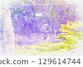 [Aichi Prefecture] Watercolor of the wisteria trellis at Tennogawa Park in Tsushima City 129614744