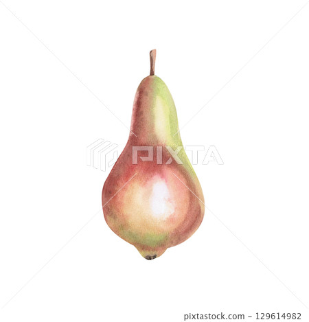 Ripe juicy pear of green-red color. Isolated watercolor illustration of the whole fruit for design of packages of juices, purees, baby food, jam, compotes, printing on posters and clothes. 129614982
