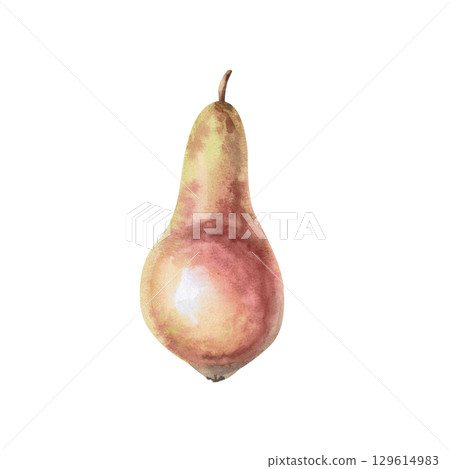 Ripe juicy pear. Isolated watercolor illustration of a whole fruit for design of juice, puree, baby food, jam, compote packaging, printing on posters and clothes. 129614983