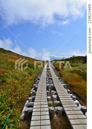 Hiking trail to Hakuba Happoike Pond in autumn 129615409